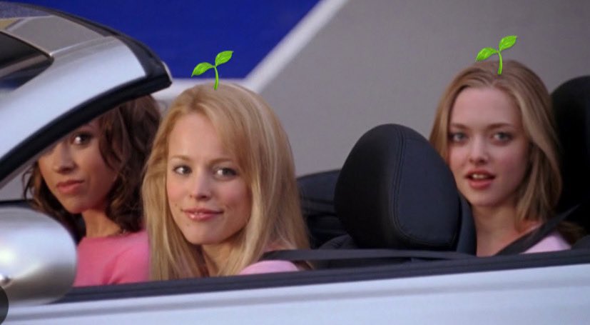 _alelesandro's tweet image. Súbete perra vamos a votar por semilla 🌱