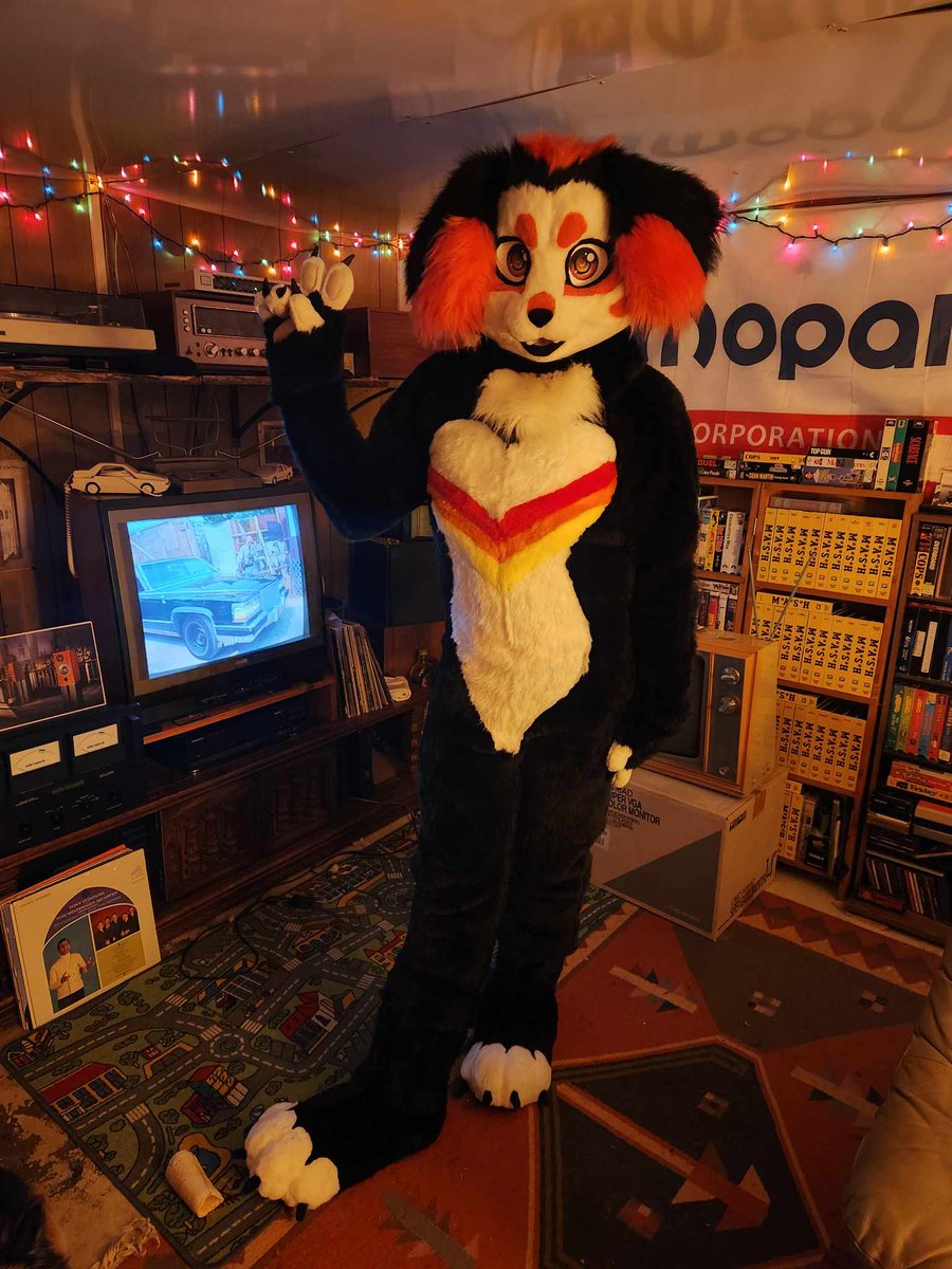 ohyup1973's tweet photo. Cannot wait to reveal my all new @baneuts420 SUIT AT AC THIS YEAR!!!! THANK YOU SO MUCH MAN!!!! These feetpaws and bodysuit fit me like a glove. Talk about perfect. https://t.co/mYb1gMIp0t