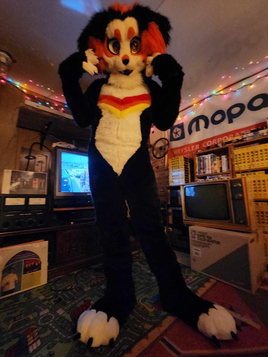 ohyup1973's tweet photo. Cannot wait to reveal my all new @baneuts420 SUIT AT AC THIS YEAR!!!! THANK YOU SO MUCH MAN!!!! These feetpaws and bodysuit fit me like a glove. Talk about perfect. https://t.co/mYb1gMIp0t