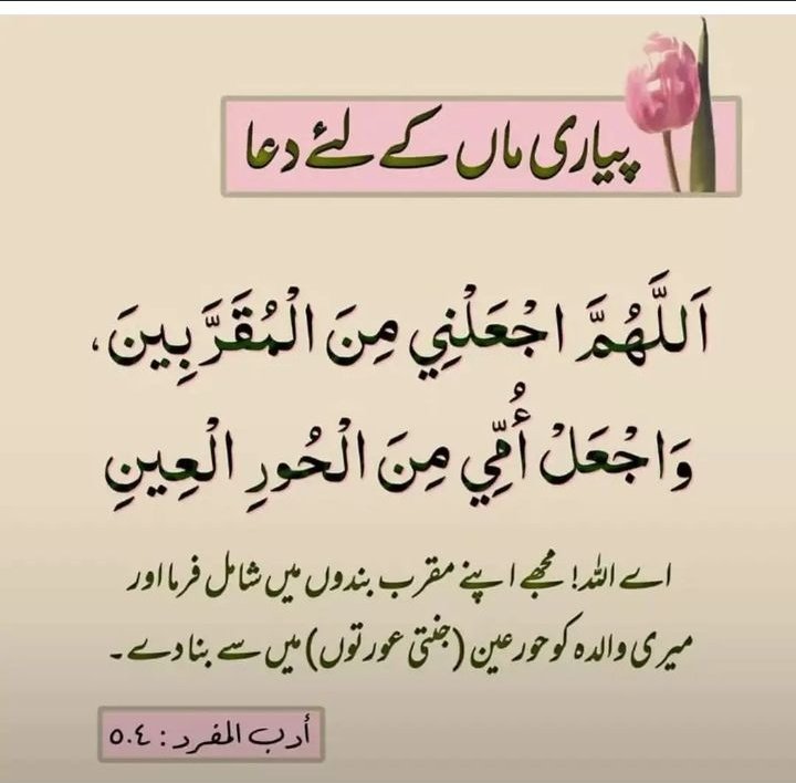 Saba Maher tweet media