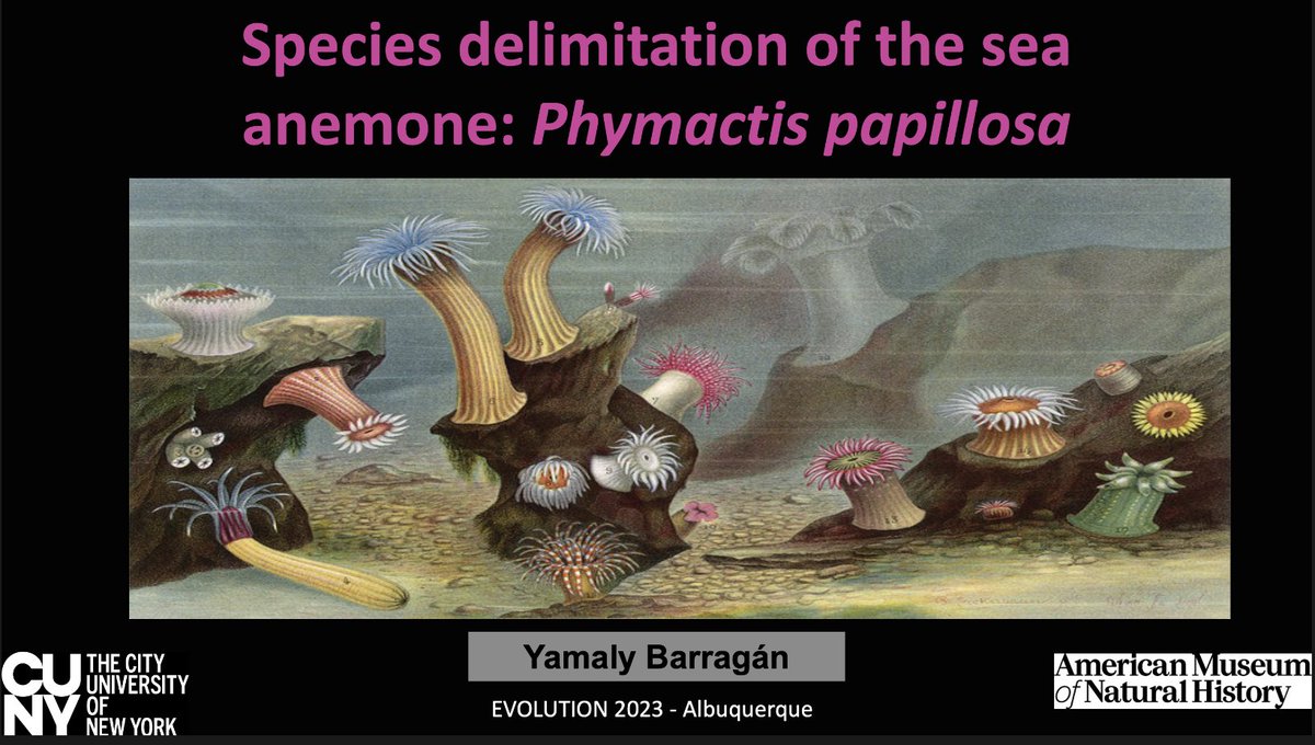 Hello #evolution2023
Interested in sea anemones? 
Come see my talk
 at 2:45 pm -  Brazos 115 
#seaanemone