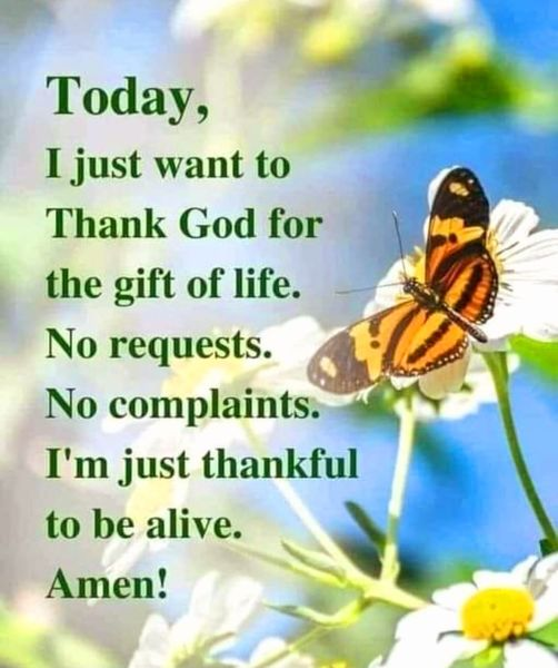 TheyCallMeDoc (@theycallmedoc1) on Twitter photo 