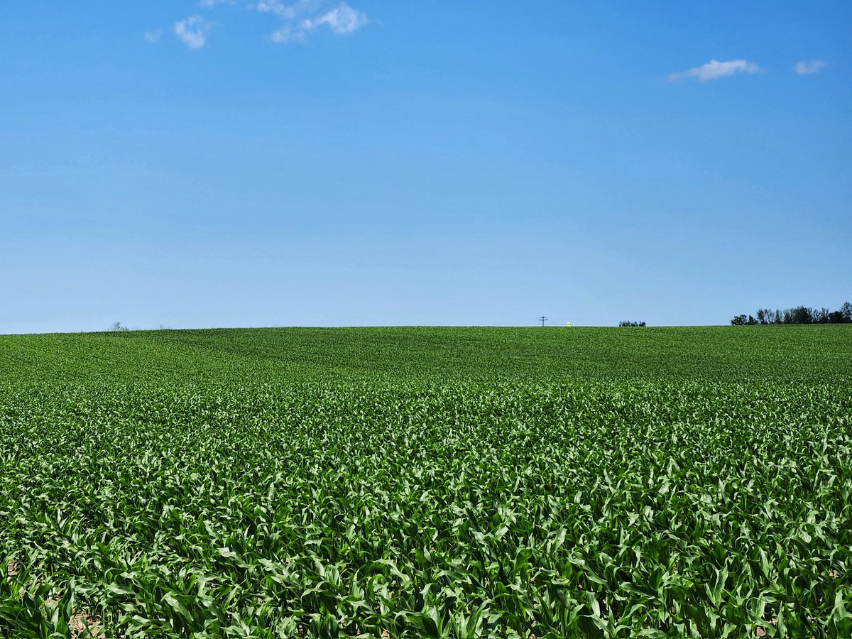 Juan Carlos Ramos tweet media