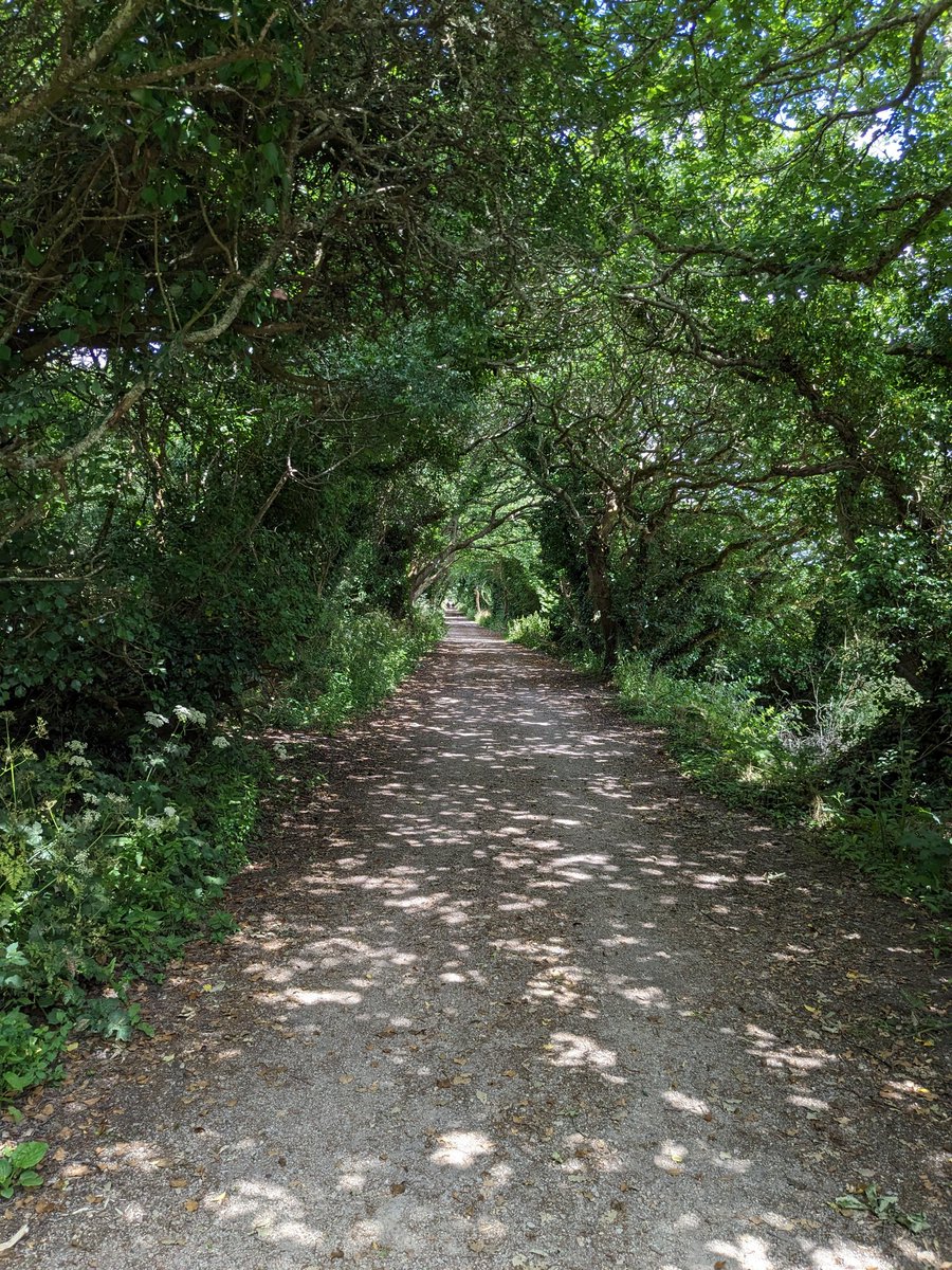 After the chaos of Falmouth yesterday the calm of the #Newham walk in #Truro was bliss. #Cornwall