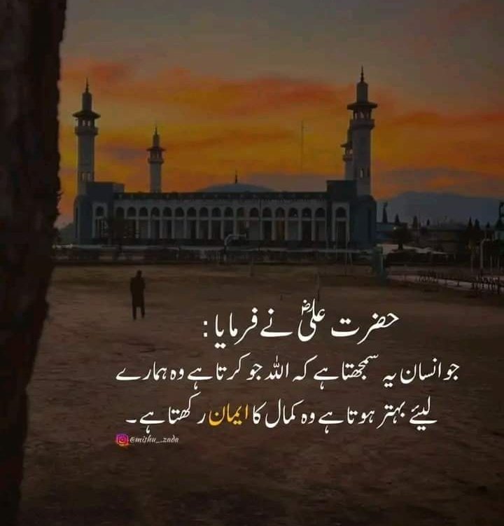 Saba Maher tweet media