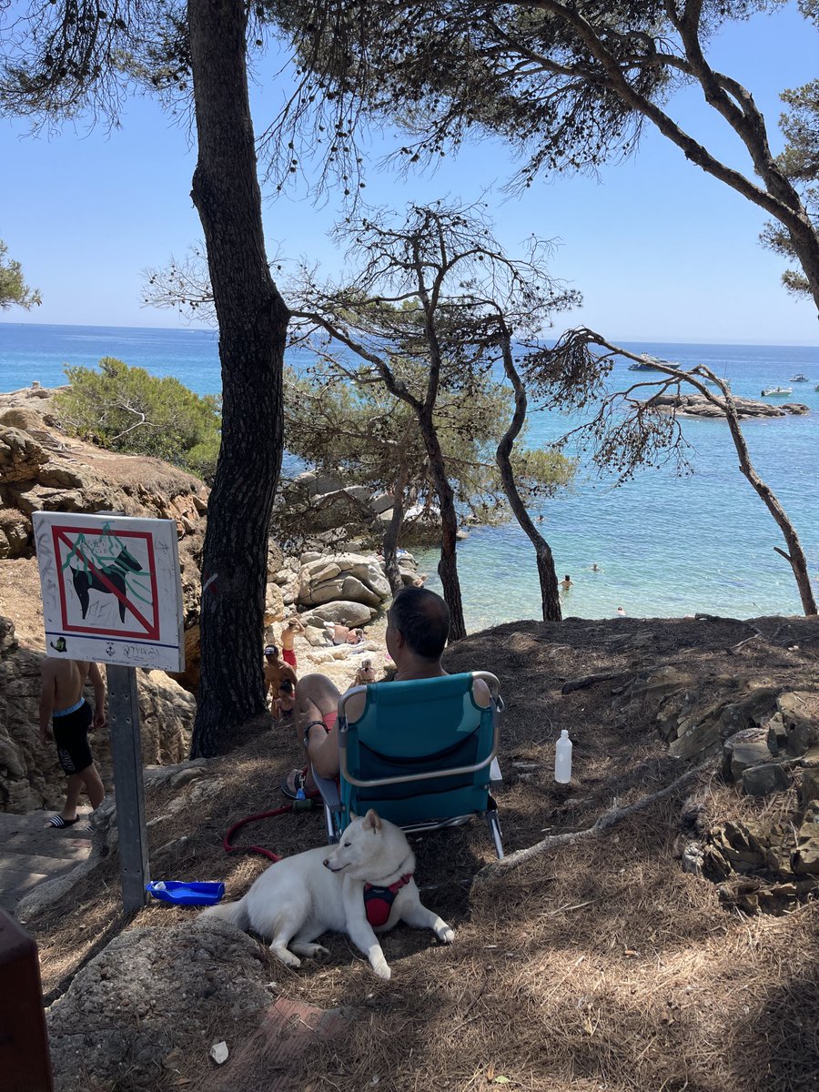 Teodoro Gómez Newman tweet media