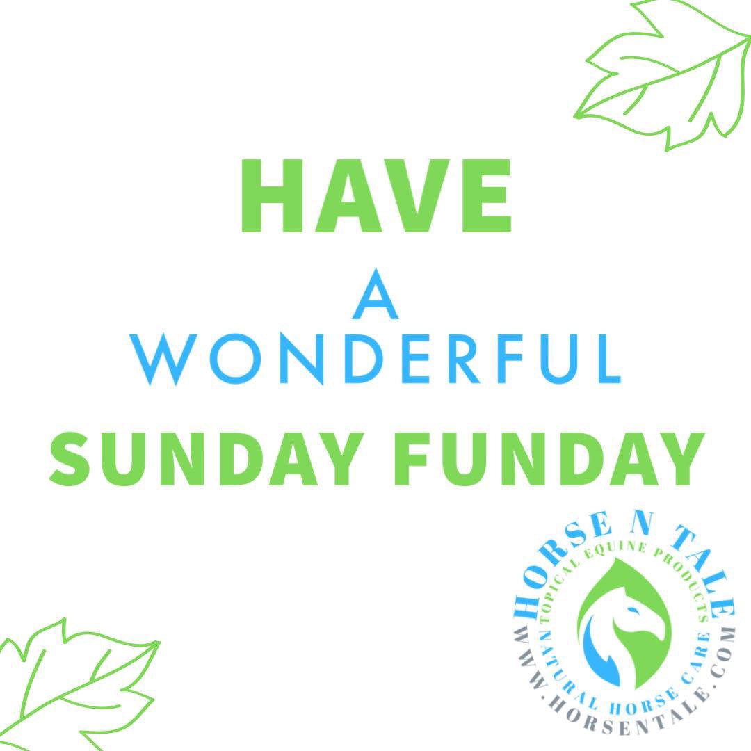 Have a wonderful Sunday Funday to all our horse lover followers!!

#horsentale #topicalequineproducts #naturalhorsecare #equine #horse #naturalingredients #horsesupplies #naturalequineproducts 
#Sunday #sundayfunday