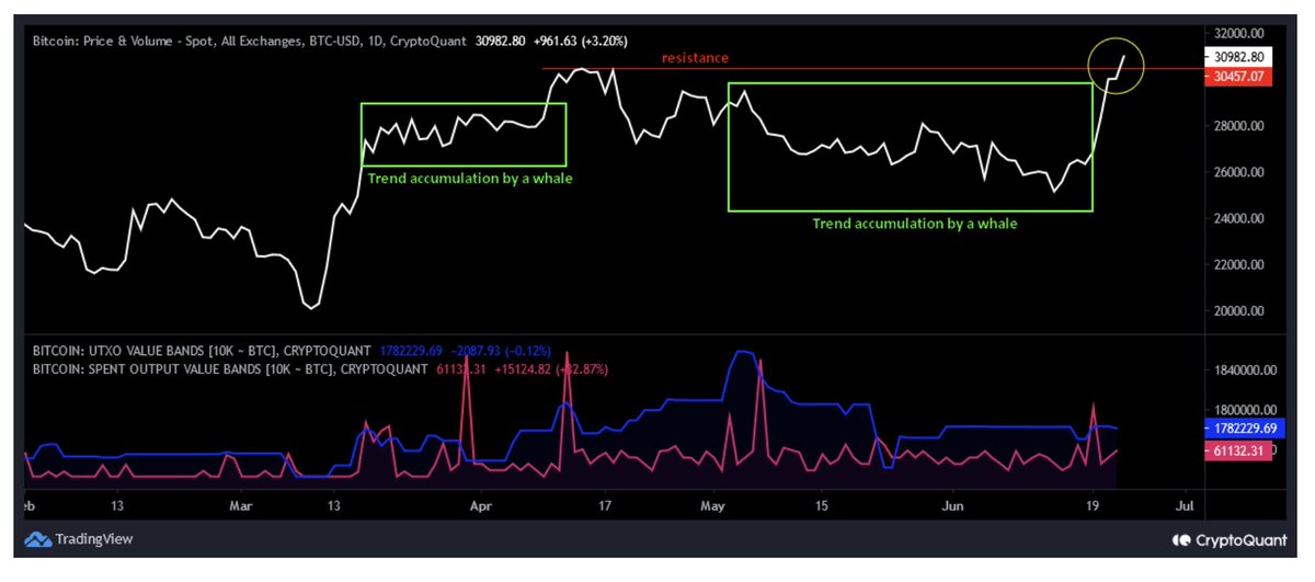 แนวโน้มการสะสมของวาฬอาจเป็นกับดักระยะสั้นสำหรับนักลงทุนรายย่อย

กลุ่มนักลงทุน Bitcoin โดยเฉพาะวาฬ Bitcoin ที่เป็นเจ้าของกระเป๋าเงินที่มียอดคงเหลือตั้งแต่ 10,000 BTC ขึ้นไป วาฬค่อยๆสะสม BTC ในช่วง $29,000-$25,000 รวมถึงการสะสมเพิ่มในช่วงที่ราคาตกเนื่องจากการฟ้องร้องของ Binance