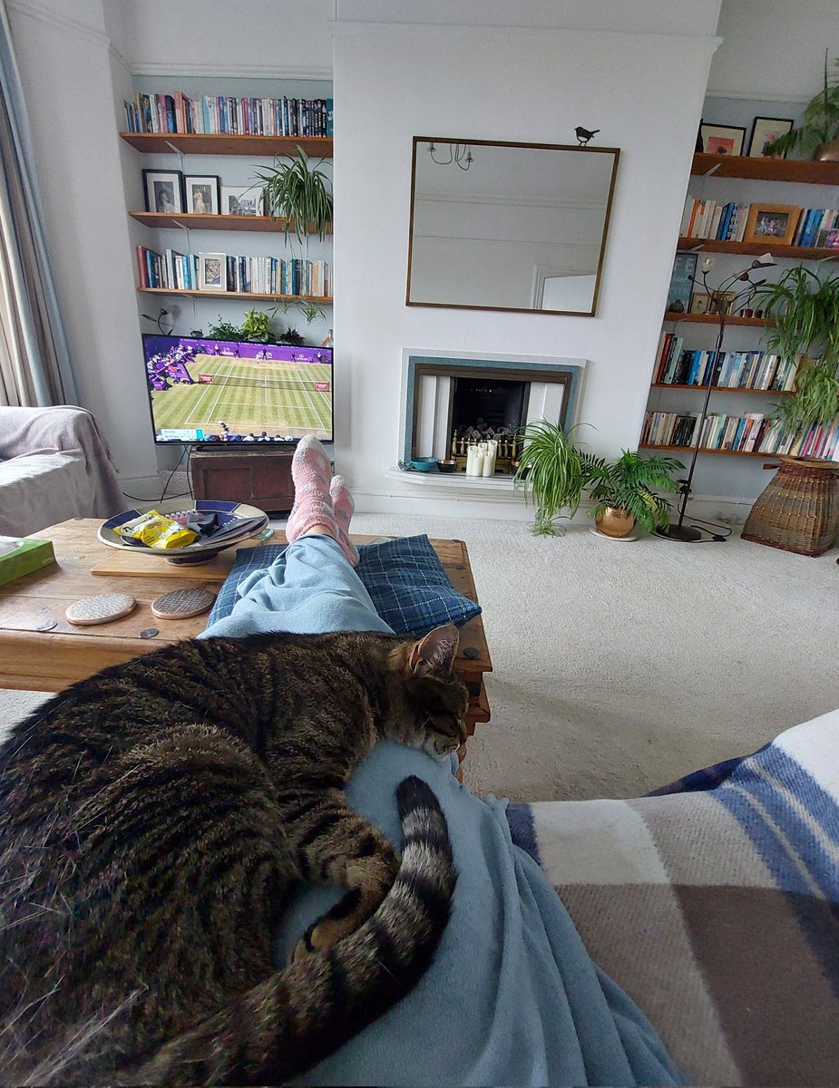 We missed #Caturday.
Anyhows, Emmy told me she wanted to watch the tennis.
I reluctantly (😉) agreed.
She lied.
ps. Peak moulting season. Anybody want a tennis loving cat? 🤔
#CatsOfTwitter
#tennis
#Queens