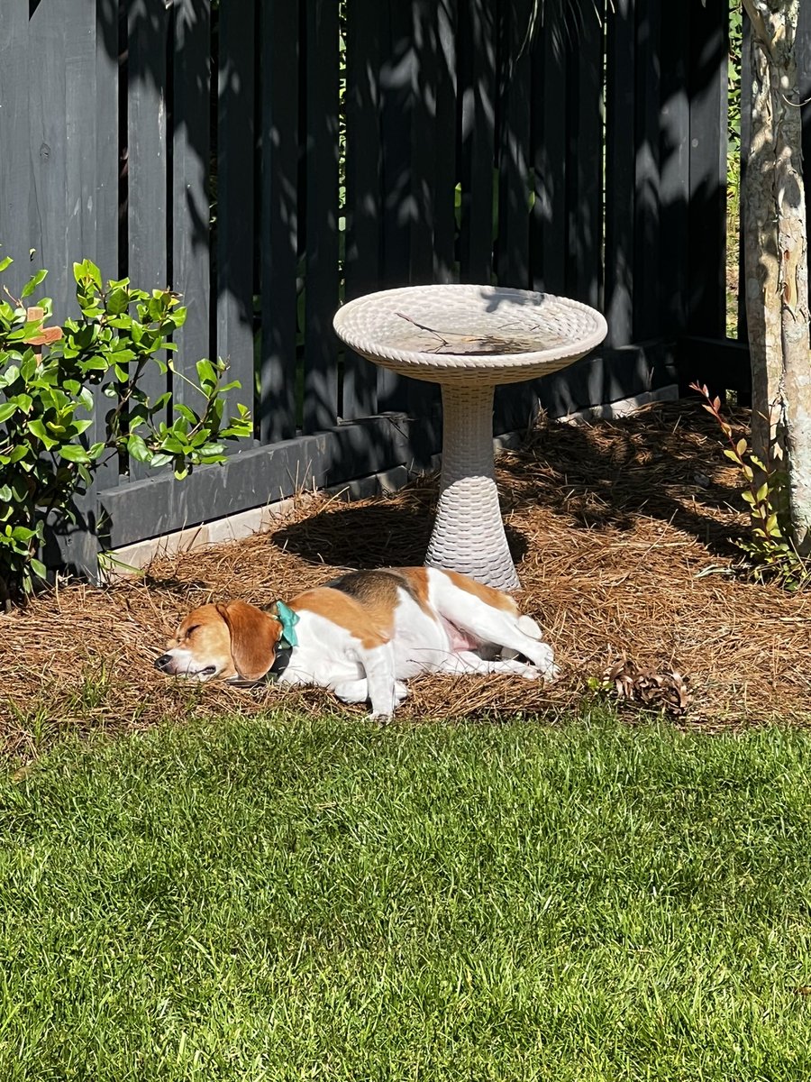 Easy like Sunday Morning ☀️