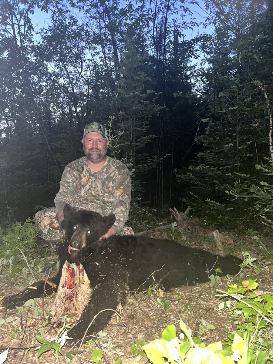 Jason55692414's tweet photo. Canada bear hunt 2023 was a SUCCESS! #nictaulodge #finaldrawtv https://t.co/OKcjr17rES