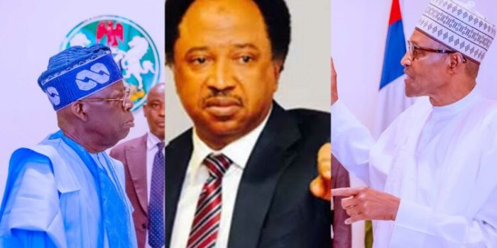 abati1990's tweet photo. Emefiele: ‘Two persons can’t answer the crimes’, probe Buhari, ex-ministers, others – Sani tells Tinubu https://t.co/PRBTRbPqVX https://t.co/6X6WggNcT5