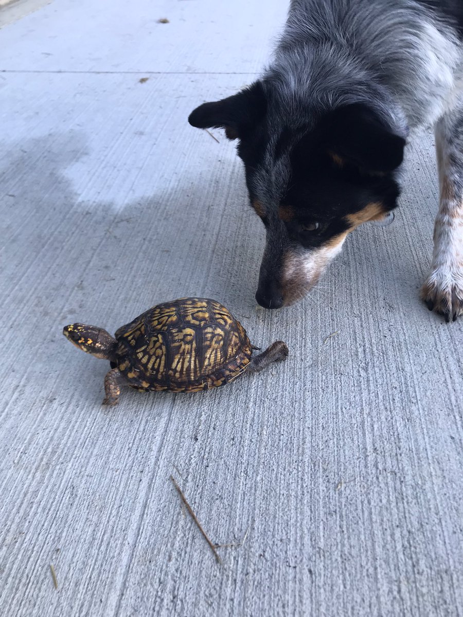 PeteyGrows tweet media