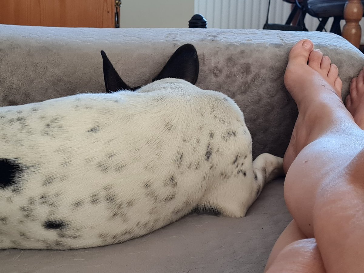 AnitaPeeters's tweet photo. Heerlijk vanaf #donderdagavond 'n #time-out genomen! #uitrusten #schaafwonden laten genezen #me-time zo helend 't #weer is prachtig de #natuur #beeldschoon m'n #allerbestevriendinnetje in de #buurt alles komt altijd goed! #positiviteit #plukdedag #pakjemomenten #stayinthismoment https://t.co/lZQ8QjUuAJ