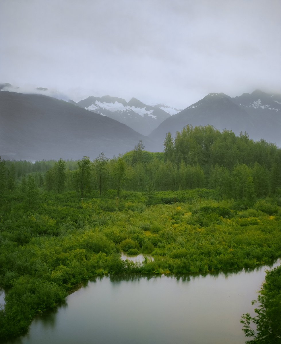 Greens from Alaska 🎞