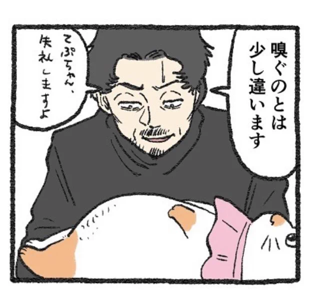 @yajima_en てぷちゃんのお腹ポコりんかわいすぎ♡ 