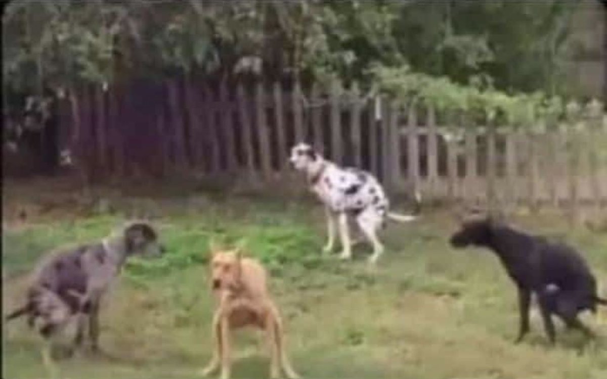 "Mujue gari haitasimama tena kwingine,,,hadi Nairobi"