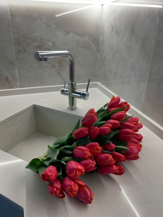 untitledallure's tweet photo. Red Tulips https://t.co/CfJXsKkaLX
