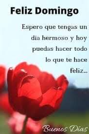 Buen día