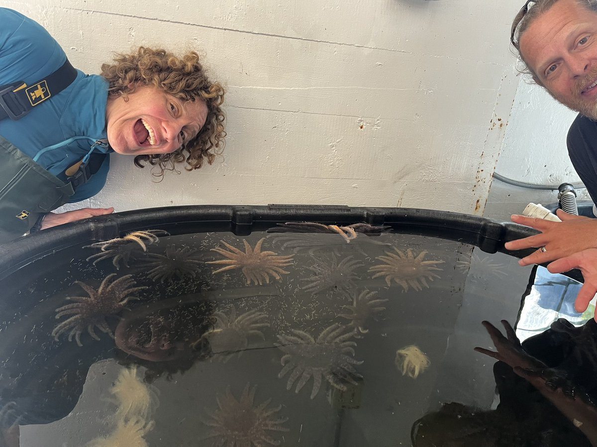 First few diving days in Sitka done, complete with 🐋 🦦 🦭 🐙 🐟 and a whole bunch of #sunflowerseastar! Now onto some experiments! Let’s do this <a href="/awegalloway/">Aaron W. E. Galloway, Ph.D.</a> and Kroeker! Best team ever!