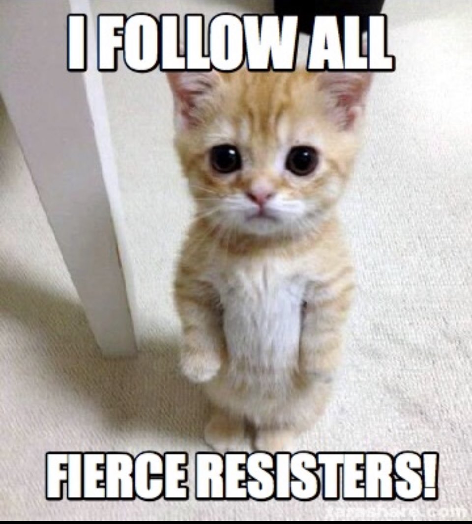 @1drcole Great to see you Dr. Cole! I’m happy to continue to boost you my dear resister sister! #connectblue 💙💙 I vet & follow back all fierce resisters! Let’s go & grow!