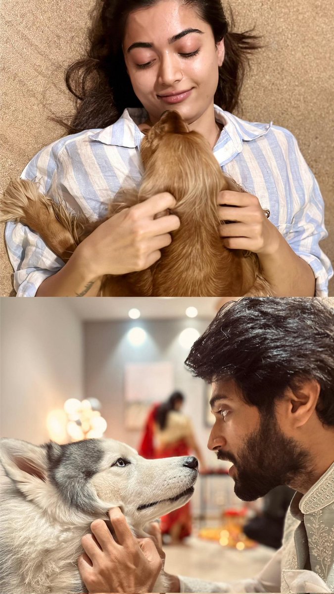 🥺🫶❤️

#VijayDeverakonda
#RashmikaMandanna #Virosh