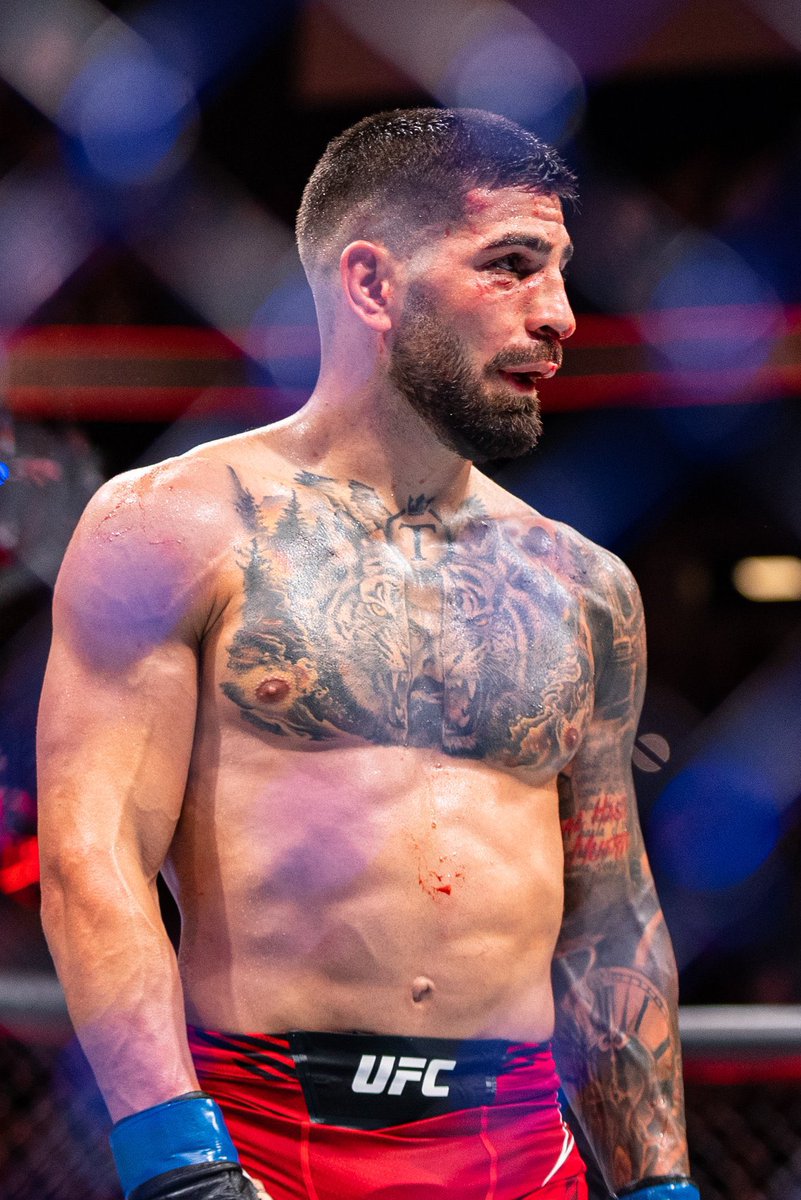 mma_orbit's tweet image. Who should be next for Ilia Topuria?🤔
#UFCJacksonville #UFC #MMA
