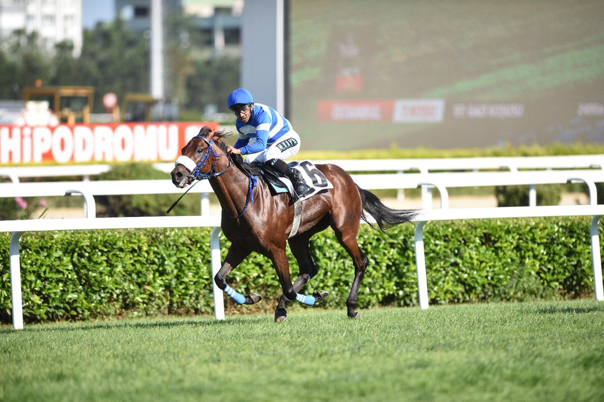 97. Gazi Koşusu’nu Urfa Aslanı, jokeyi Mehmet Kaya ile kazandı. 

#GaziKoşusu