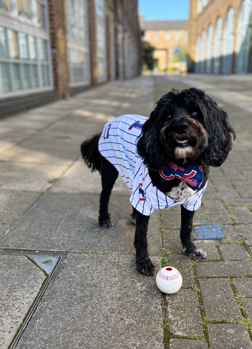 Melody Squire tweet media