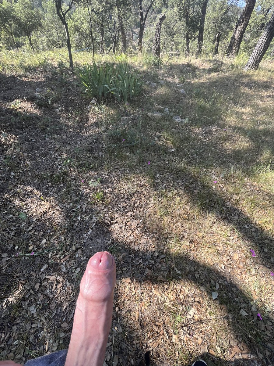 DBC95OF's tweet photo. Different day, different view,same dick! I’m really liking this outdoor wanking a lot https://t.co/oW8mbkOuvu