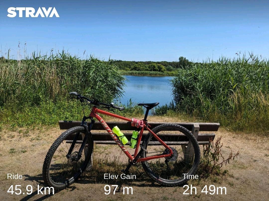 Heiloo to Haarlem strava.app.link/nRcay5S9UAb