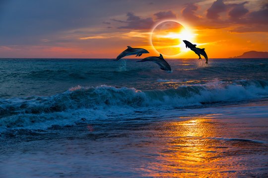 Watching a wave 
Come rolling in
Along the shore
As the sun begings to set
Watching dolphins playing in the distance
Taking in all the beauty surrounding her
Feeling at peace 
The end of a beautiful day

*wave
#Whistpr
#WritingCommunity