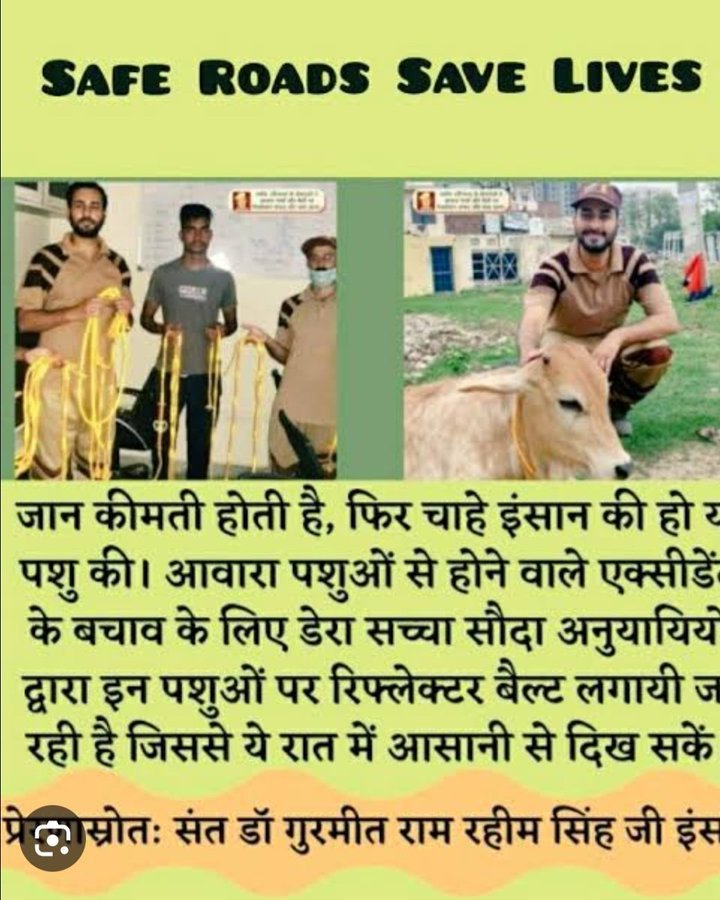 #DeraSachaSauda के अनुयाई #SaintDrMSG  जी के मार्गदर्शन में '#SafeRoadsSaveLives' मुहिम के तहत जानवरों की सुरक्षा के लिए उन पर रेडियम पटिया या केमिकल रहित रिफ्लेक्टर बेल्ट बांधते हैं ताकि उन्हें किसी भी दुर्घटना का शिकार ना होना पड़े
#SafeRoadSaveLives