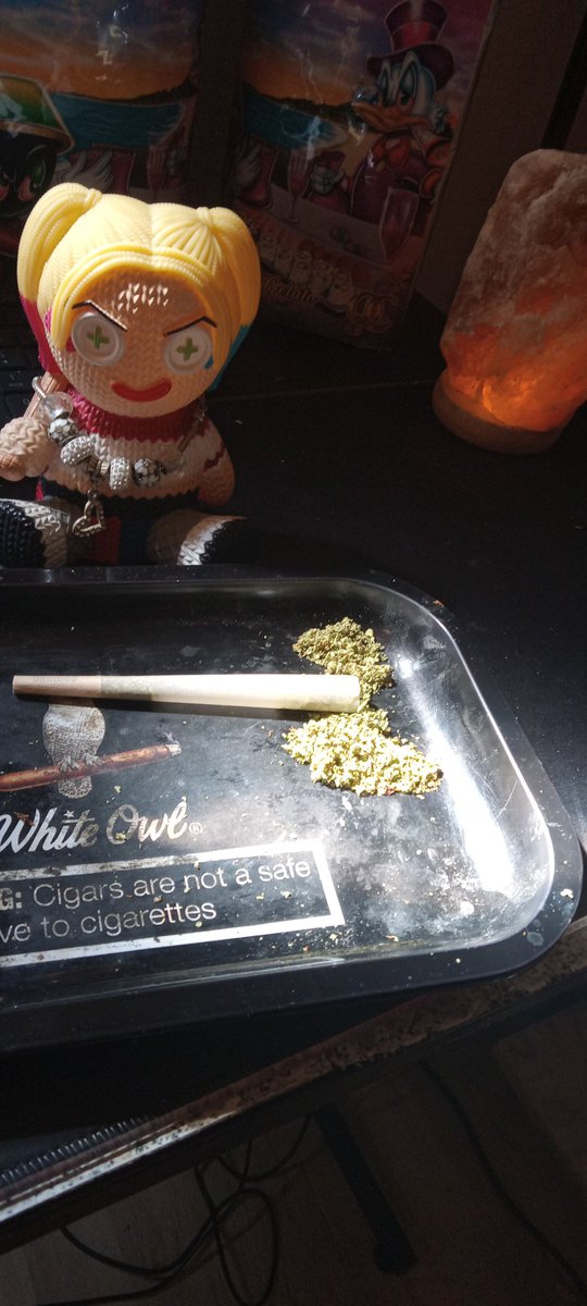 4_DUBB's tweet photo. HARLEY PACKING UP A BASEBALL BAT FOR THIS MORNKNG SESHY... SEE YALL IN 20 DILLY DILLY #KickStreaming #420kick #CannabisCommunity #HarleyQuinn
#420Life https://t.co/A82fmKnnhS
