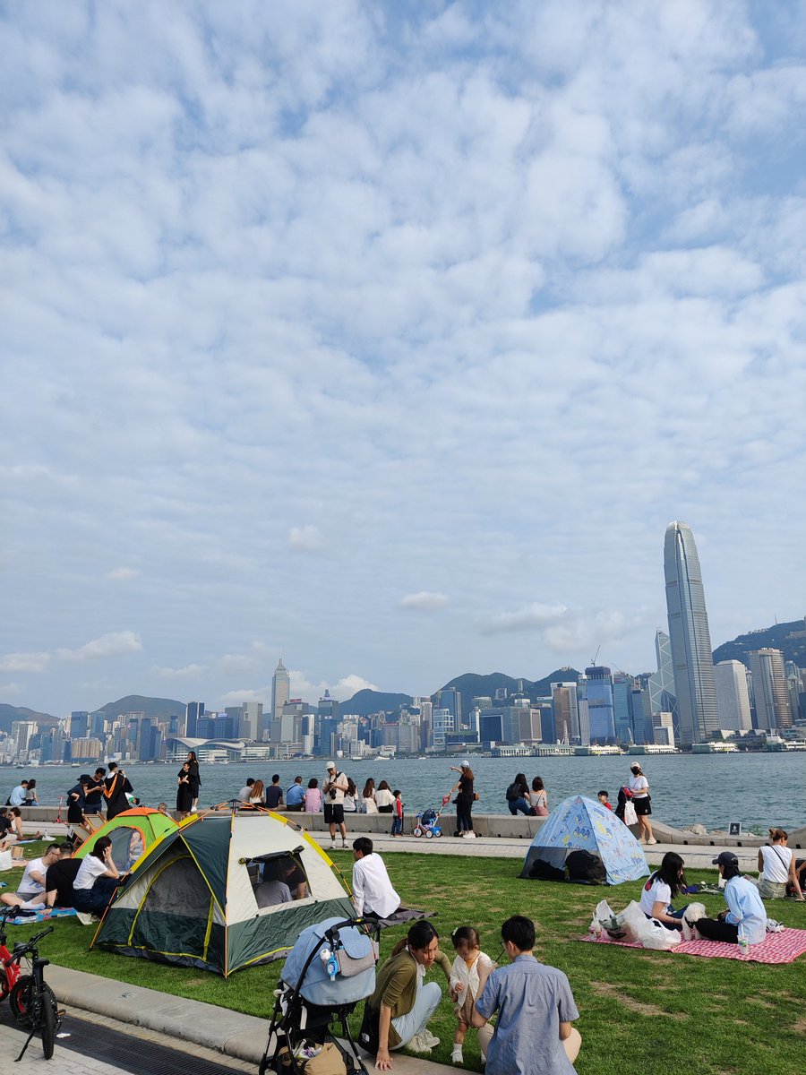 🏙️🏙️🏙️🏙️