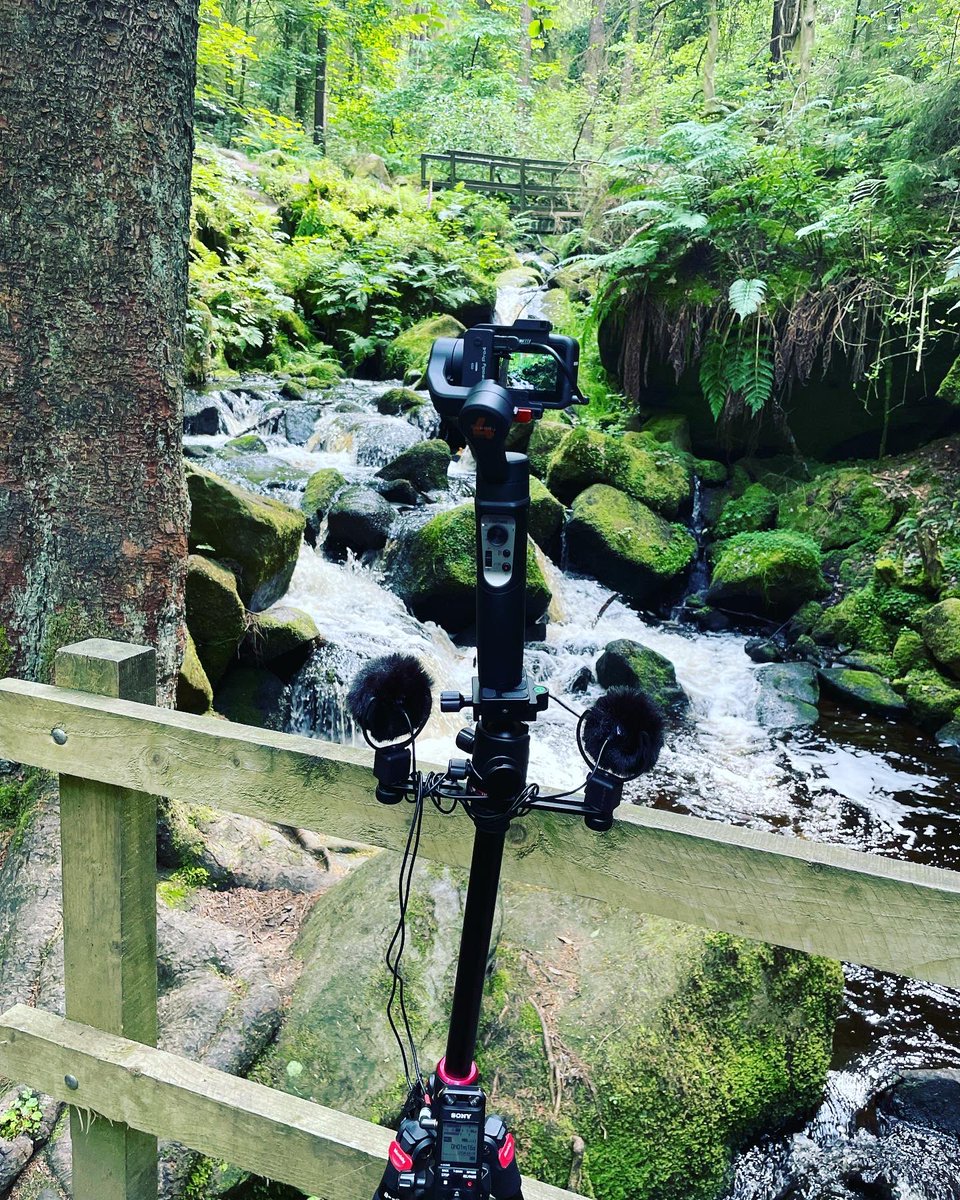 EQAVOXMUSIC's tweet photo. Field recording. #field #record #recording #fieldrecording #sony #pcma10 #clippy #microphone #microphones #stereo #goprohero #gopro #nature #sound #river #forest #isteadypro4 https://t.co/mEtpaysZeQ