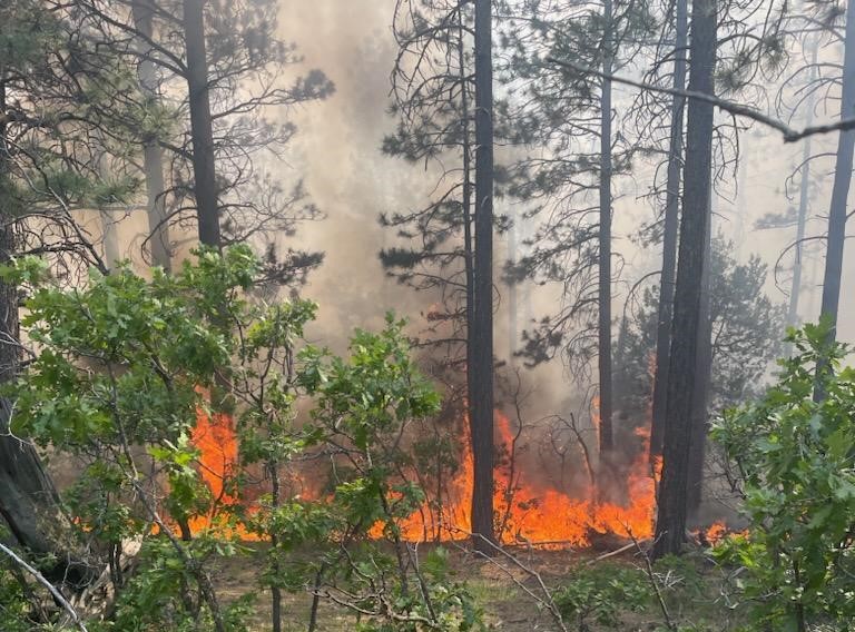 CarsonNF's tweet photo. All wildfires receives a strategic, risk-based response, and as conditions change, so do management actions. Forecasted weather will be less than favorable for the #ComancheFire to fulfill its ecological role, and we will now focus on suppression.

More: https://t.co/ZRLNv40720 https://t.co/1Ic2zoXXVI