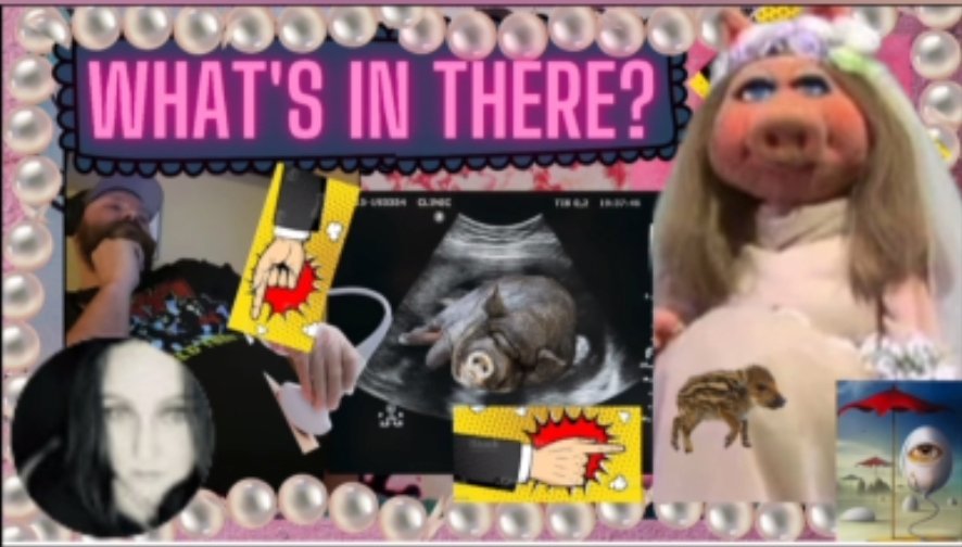 Re-upload of the Hogs' BS over on YouTube. They tried to strike me for their own words. I won my appeal in under 10 minutes. The "susserbian" Hog won't stop tagging me, even though I've asked twice. Who's harassing who? It's in my Pompatus style. I hope you enjoy it!