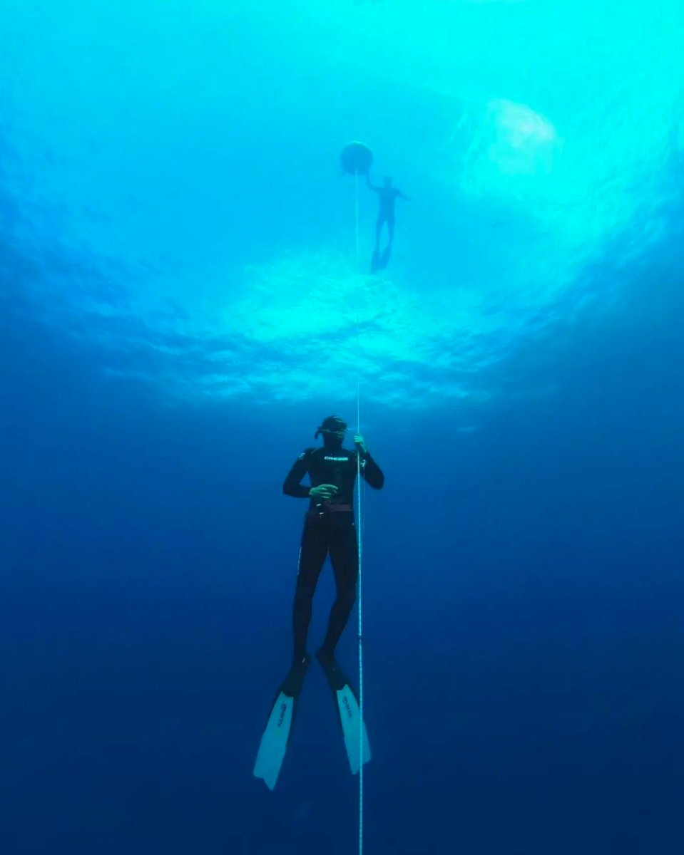 diveSSI's tweet photo. What has been your favorite SSI freediving course so far?
Tag the training center or pro that made it happen!
@atlantisfreediving 📸
#wearessi #freediving #apnea #apnoe #training https://t.co/xcX03tGDrI