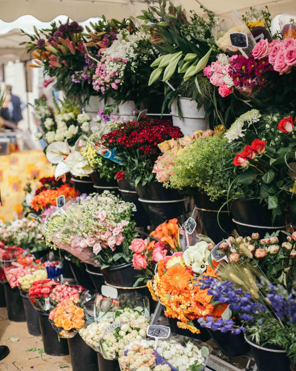 MODERN ADVENTURE tweet media