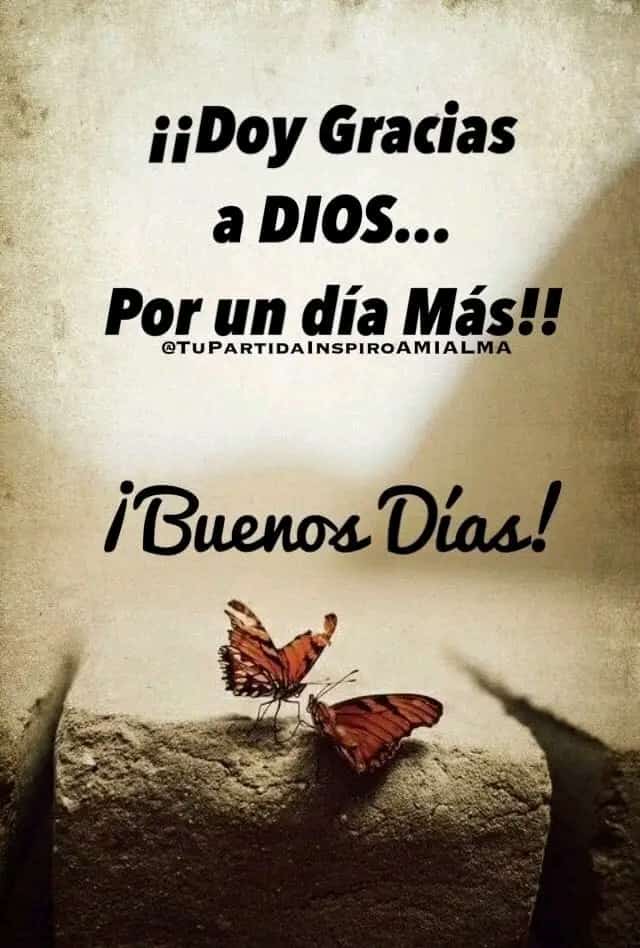 #25JunETIQUETE DEL DÍA 🗣️
#VenezuelaConPutin 
Buenos Días a todos los Twitteros Patria feliz Domingo 👊🤝 
<a href="/NicolasMaduro/">Nicolás Maduro</a> 
<a href="/Mippcivzla/">mippci</a> 
<a href="/VTVcanal8/">VTV CANAL 8</a> 
<a href="/Anaconda625/">Anaconda ✿(◕⁠ᴗ⁠◕⁠✿⁠)</a> 
<a href="/PInsomne1/">🌼 Pupila Desib🌼 🇻🇪🇳🇮🇨🇺</a> 
@Rafaelrs110 
<a href="/Adriana93030228/">Adriana Nuñez</a> 
<a href="/sanserrano65/">Masam Tuitera😘</a> 
<a href="/jmhgomez1/">@Jmhgomez</a> 
<a href="/NorisAquino2/">Noris Aquino7</a>