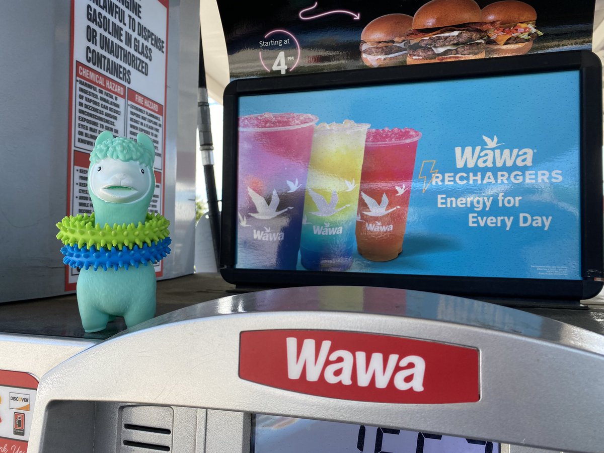 Brian 🦙(he/his) ➡️ 🔥#NCED Connect# & #NCTIES#🔥 tweet media