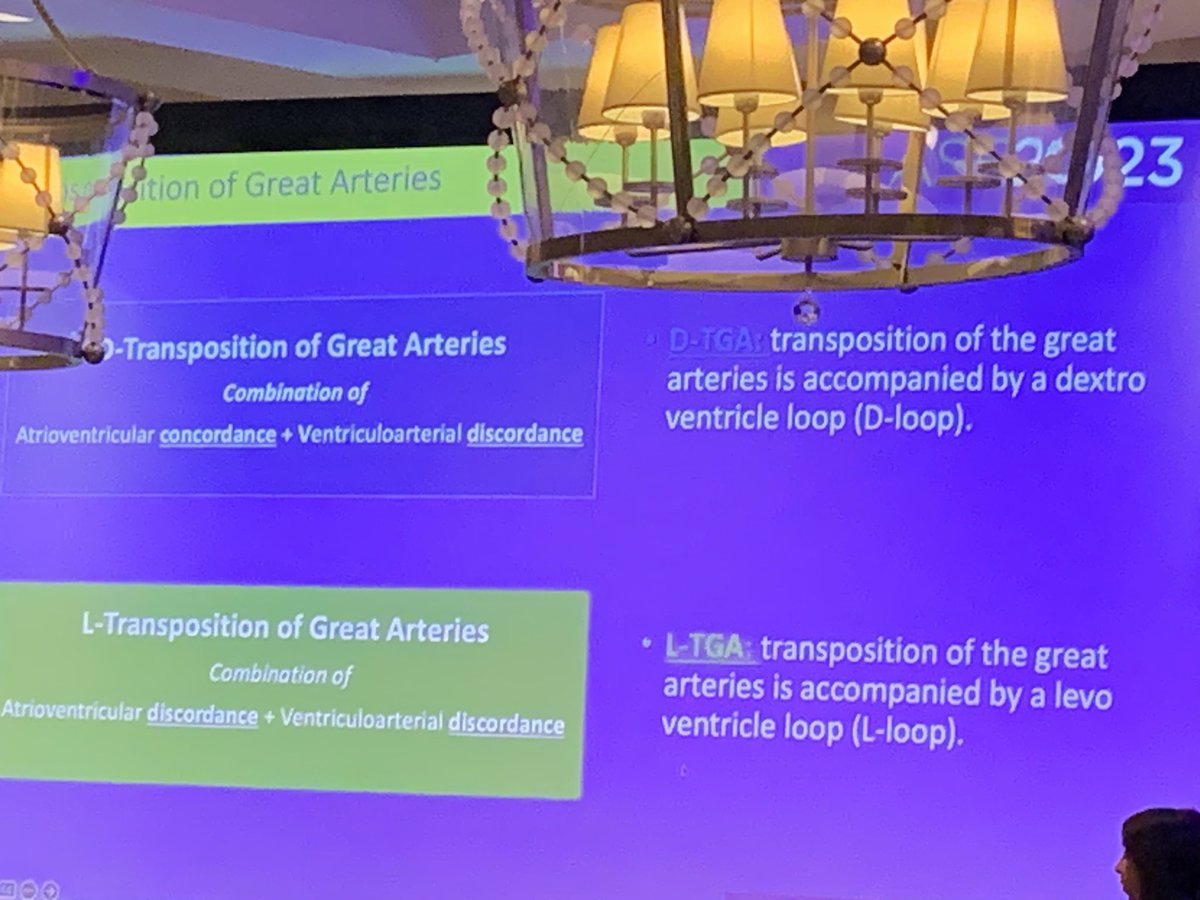 Judy Hung (@judyhungmd) on Twitter photo MGH Echo technical manager Lanqi Hua RDCS tells us how to determine ventricular looping #ase2023 <a href="/ASE360/">American Society of Echocardiography</a> <a href="/LanqiHua/">Lanqi Hua</a> <a href="/MGHHeartHealth/">Mass General Heart</a> MGH Echo technical manager Lanqi Hua RDCS tells us how to determine ventricular looping #ase2023 <a href="/ASE360/">American Society of Echocardiography</a> <a href="/LanqiHua/">Lanqi Hua</a> <a href="/MGHHeartHealth/">Mass General Heart</a>