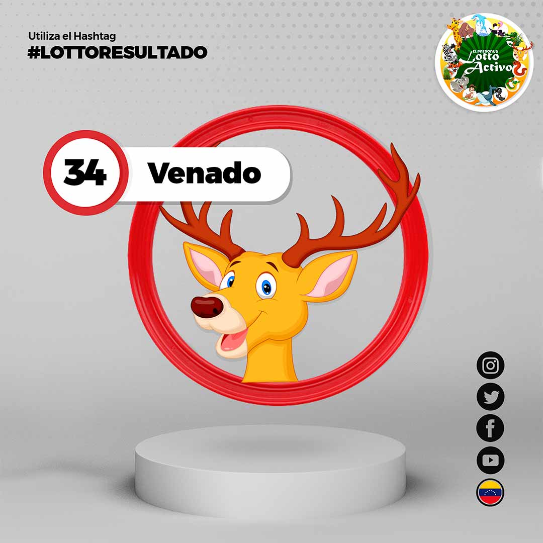 #lottoresultado del 25/06/2023

Sorteo N°:2447-C

11:00 AM.
 34 - VENADO 

#venezuela #elpatronus #LottoActivo