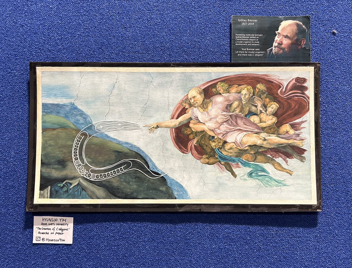 Visit and vote for #worm23 #wormart! 
I prepared a hilarious and elaborating painting which prepared for a long time. 

' And Brenner said,
Let there be model organism : and there was C.elegans '