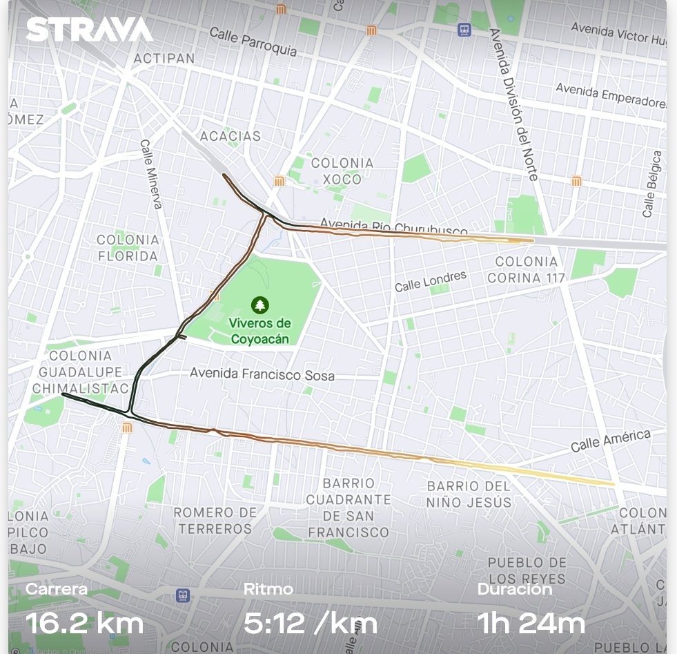omar_warrior_'s tweet photo. Tres semanas enfermo
-Primera semana el 10k Banorte
-Segunda semana super 10k Spartan Race
-Tercera semana este @adidas #Split16k
#thegreatsrunner #runner
Gracias por todo Bro @manulira07
Vamos por más!!!!! 🙌 https://t.co/P4RPbNTvsO