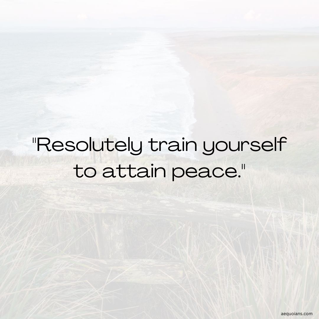 Dream of serenity and take action to achieve it! 🧘‍♂️ Resolutely train yourself to attain peace. Take the first step towards tranquility and strengthen your spirit. #PeacefulMind #TrainYourself Get started now. rb.gy/g8yu0