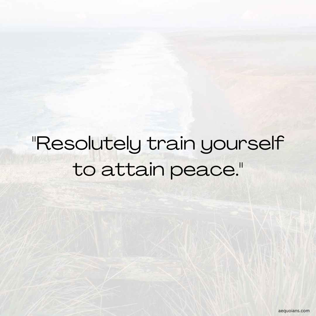 TheSequoians's tweet photo. Dream of serenity and take action to achieve it! 🧘‍♂️ Resolutely train yourself to attain peace. Take the first step towards tranquility and strengthen your spirit. #PeacefulMind #TrainYourself Get started now. https://t.co/xOcmjGGKwO https://t.co/gVG8Xvo6VJ