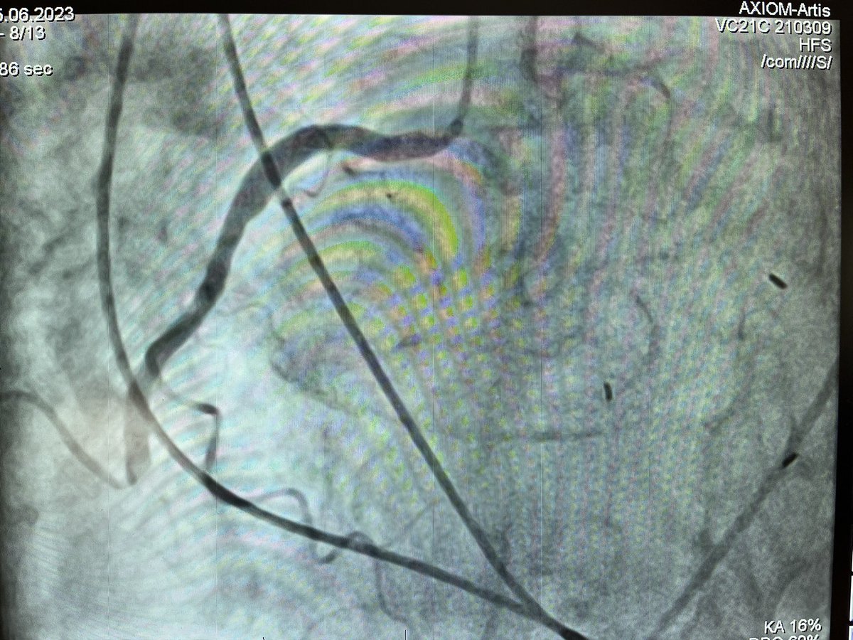 Felix Weigelt tweet media