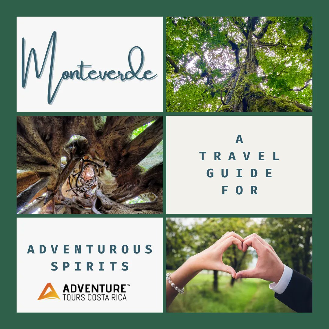 Lush, green landscape - rolling tropical #cloudforest - #Monteverde is made for Adventureous Spirits! 🕊️ 🌳 🧘 🤸 💚 

buff.ly/44TNtny 

#travelblog #travelwithme #traveltips #mountains #hike #naturetrip #naturelovers #ecotravel #monteverdecostarica #costarica #adventure